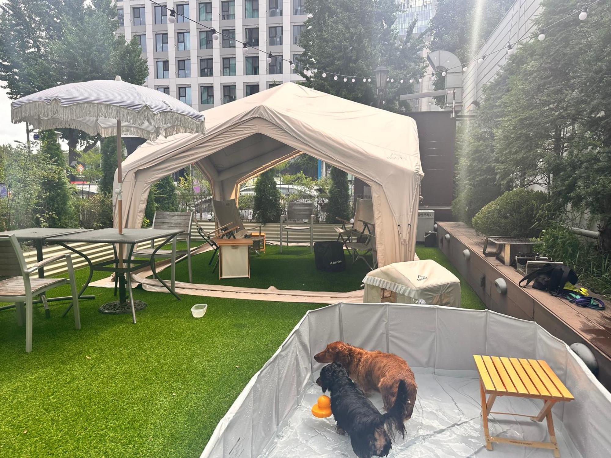 Hotel Acube Dongdaemun Seul